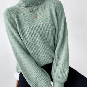 Knit Turtleneck Sweater